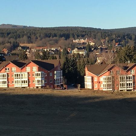 Apartment Gosch An Der Skiwiese برونلاغ المظهر الخارجي الصورة